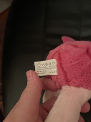 Inspired by another thread and encourage to by some posters - please help me find Piglet (clearer photo further down the thread)