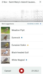 The Nigel Slater Christmas Chronicles Readalong 2024