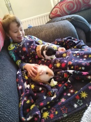 Guinea pigs and cats, knock some sense onto me please!