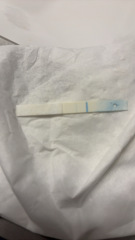 Taking tests apart.... The debate!