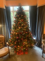 Show us your Christmas trees