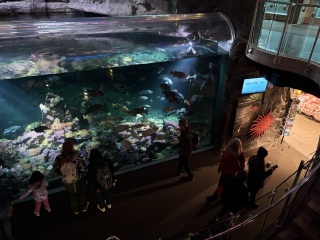 Come and tell me your dull and unexciting news 31: Calmly through the day