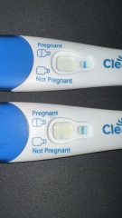 Pregnant or Evap?