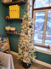 Show us your Christmas trees