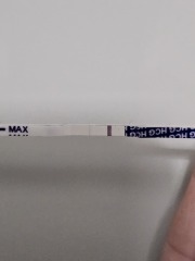 Am I pregnant?