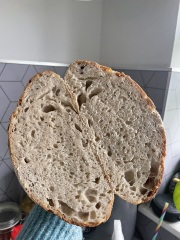 HELP WITH SOURDOUGH STARTER