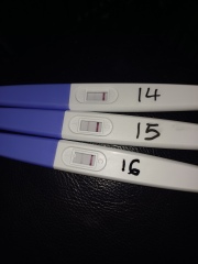 Line progression