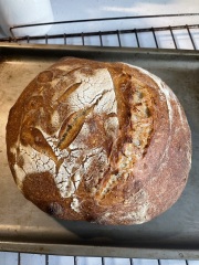 HELP WITH SOURDOUGH STARTER