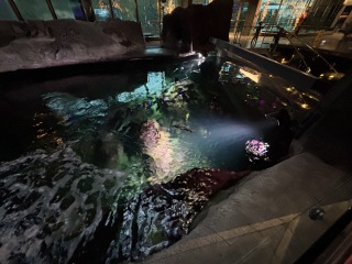 Come and tell me your dull and unexciting news 31: Calmly through the day