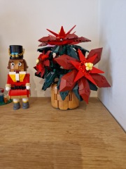 To show me your Lego collection?