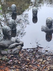 Mounjaro August starters #7