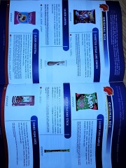 Snackverse - snack box from around the world