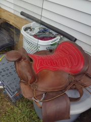 Tennessee Ranch and trail saddles?