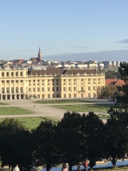 Vienna recommendations