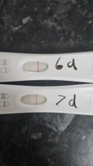 Feeling deflated - no line progression - ivf