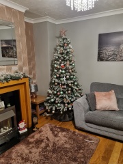 Show us your Christmas trees