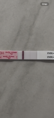 Positive pregnancy test or evaporation line?