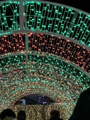 Come and tell me your dull and unexciting news 31: Calmly through the day