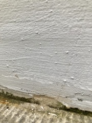 Exterior lime render