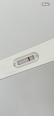 Possible Squinter?