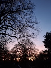 The Nigel Slater Christmas Chronicles Readalong 2024 Part 2