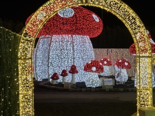 Come and tell us your dull and unexciting news 32: Calmly through the day