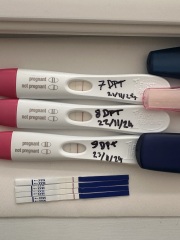 HCG level 34 9DP5DT