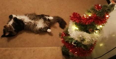 The Great Cancer Recovery part 3