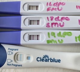 In limbo, 19dpo with no progression on tests and no AF