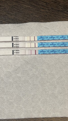 Ovulation test help after chemical pregnancy