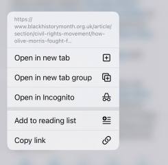 Sudan: rape & suicide