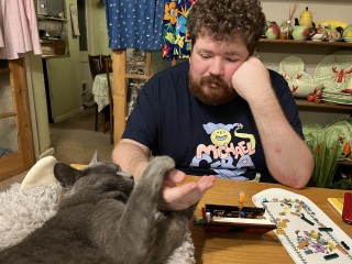 To show me your Lego collection?