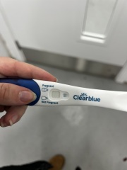 Clear blue evap line?