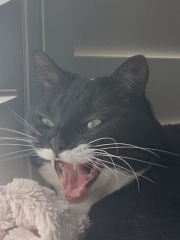 The Great Cancer Recovery part 3