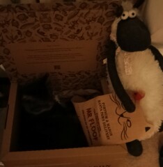 The Great Cancer Recovery part 3