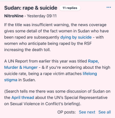 Sudan: rape & suicide