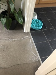 What colour vinyl flooring would you suggest?  pics attached