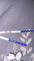 Nov 2024 TTC 💖 part 2 ✨