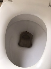 Deposit: damage and missing items