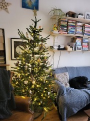 Show us your Christmas trees