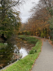 Come and tell me your dull and unexciting news 31: Calmly through the day