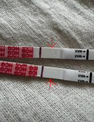 Feel like I’m going insane!! Are these lines?