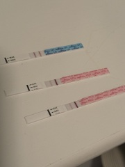 Nov 2024 TTC 💖 part 2 ✨