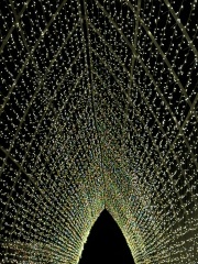 Come and tell me your dull and unexciting news 31: Calmly through the day