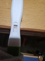 Can someone help me?
