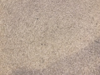 Will a carpet shampooer sort this grubby carpet?