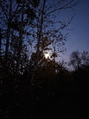 The Nigel Slater Christmas Chronicles Readalong 2024 Part 2