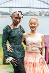 It's a shame that Hollywood results in women ruining their looks whilst the men carry on regardless (Wicked)
