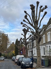 The Great Cancer Recovery part 3