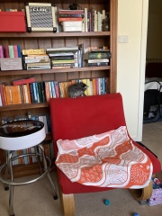 Enter Cat Four